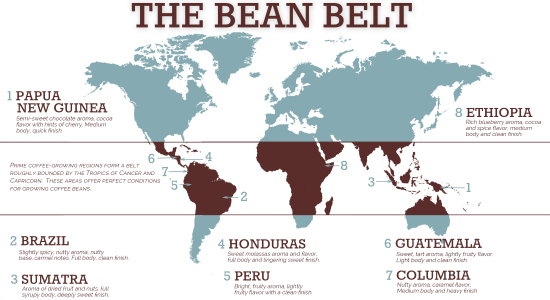 Coffee Bean Belt Coffee History